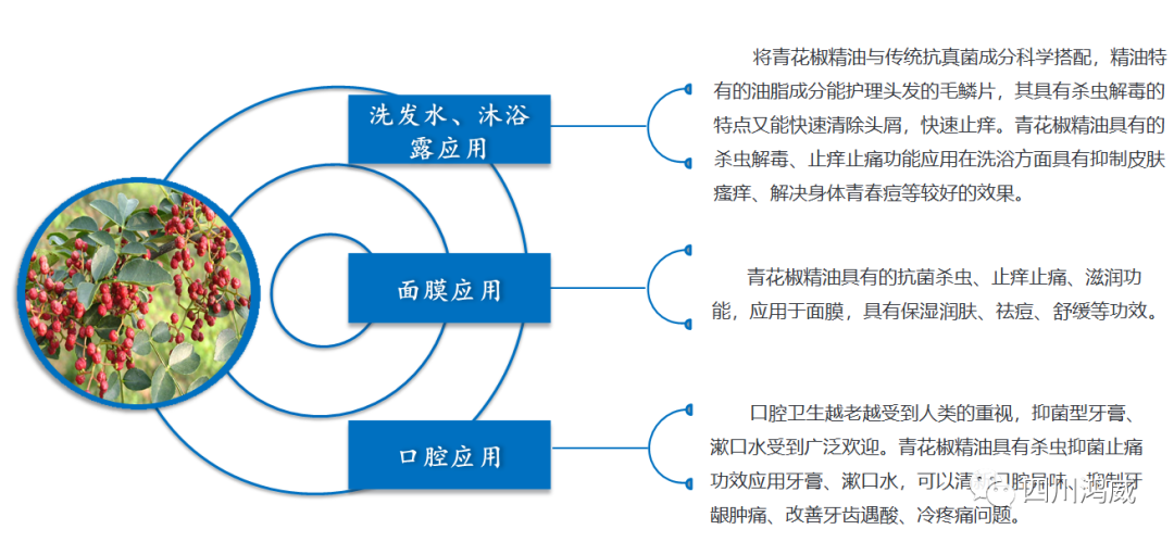 乡村振兴战略实践-关于青花椒精油个人护理及家居护理方面的应用